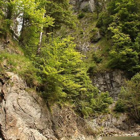 Appartement Isolde *