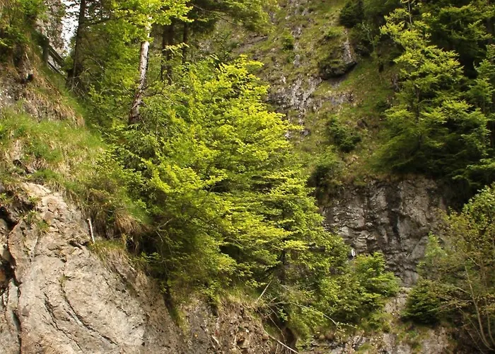 Apartmán Isolde Ebnit *